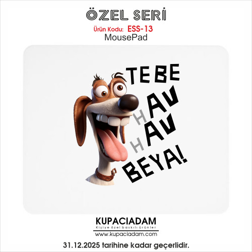 Espirili Sözler Serisi ESS-13